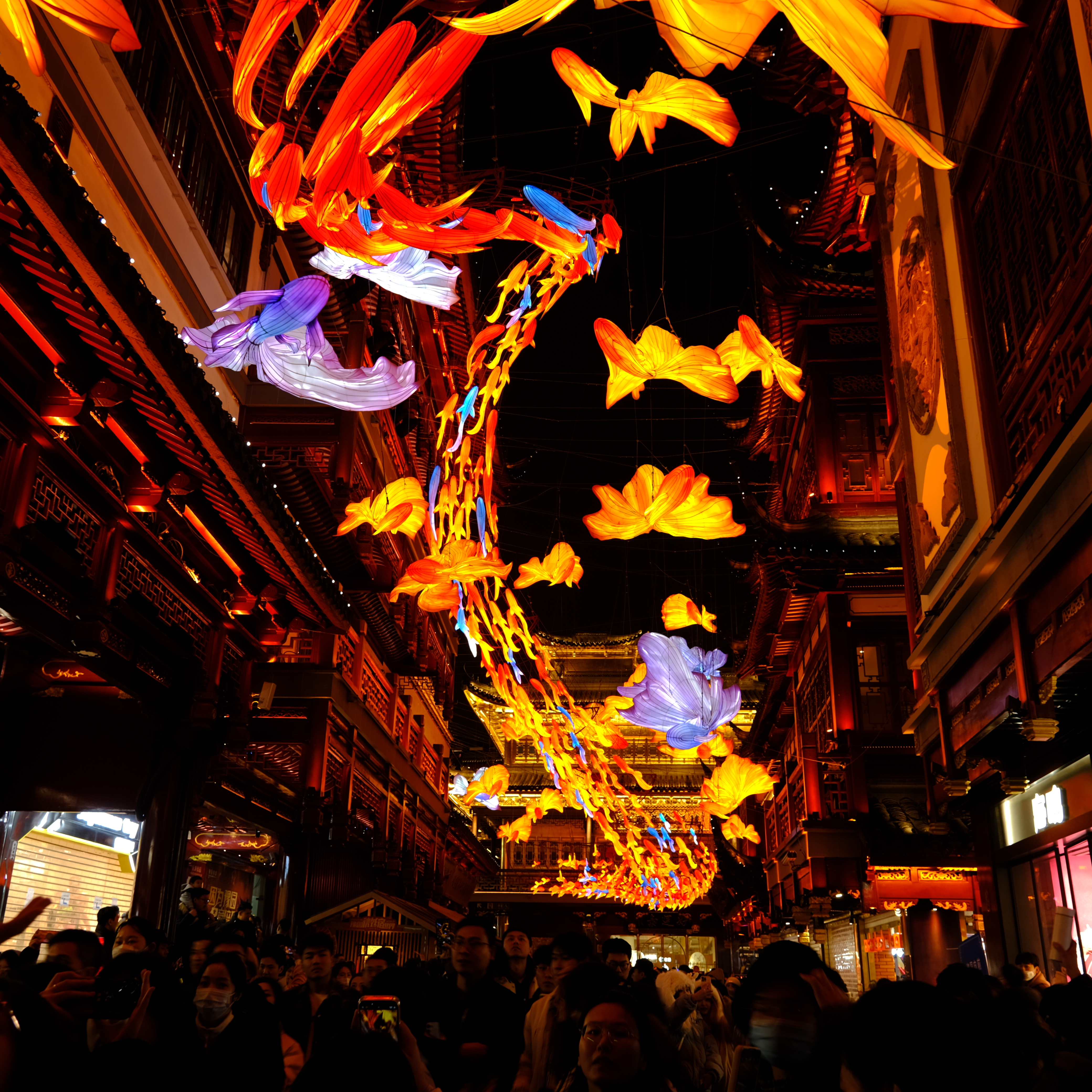 Chinese New Year's Day, Shanghai